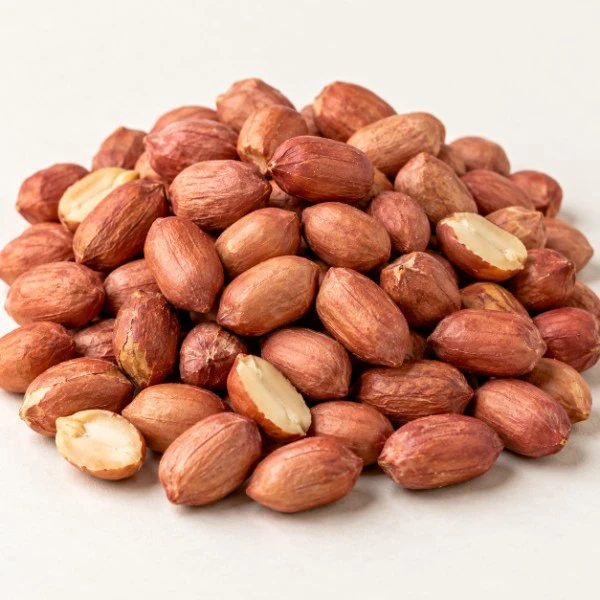 Groundnut Bold
